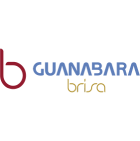 Logotipo da empresa parceira Brisa